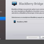 BlackBerry PlayBook - Bridge