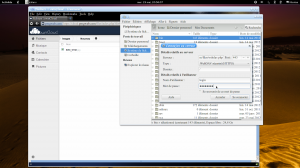 WebDAV