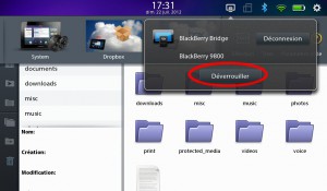 PlayCloud & Bridge