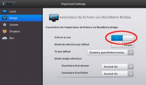 PlayCloud & Bridge