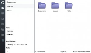 SkyDrive
